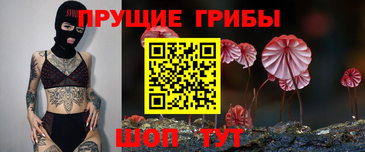 Малгобек  Псилоцибиновые грибы мухоморы  Вход с VPN 